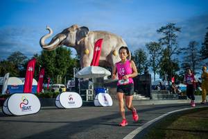 BIB: 
                            <button type="button" onclick="openModal(26541726)" class="btn btn-primary btn-sm float-right btn-popup" data-toggle="modal" data-target=".modal-high-quality">
                        <i class="fas fa-shopping-cart"></i> Add to Cart
                    </button>
                                            <button type="button" onclick="isThisMe(26541726, true)" class="btn btn-success btn-sm float-right btn-popup btn-isme hidden" data-toggle="tooltip" data-placement="bottom" title="นี่คือรูปของคุณใช่ไหม คลิกที่นี่เพื่อเอาเข้าอัลบั้ม">
                        <i class="fas fa-plus"></i> Add to album
                    </button>
                    <button type="button" onclick="isThisMe(26541726, false)" class="btn btn-warning btn-sm float-right btn-popup btn-isnotme hidden">
                        <i class="fas fa-ban"></i> Remove from album
                    </button>